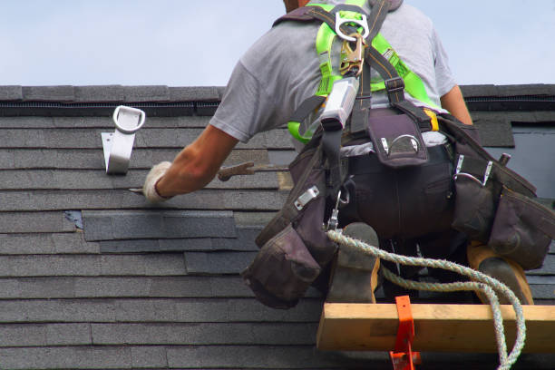 Best Storm Damage Roof Repair  in Lester Prairie, MN
