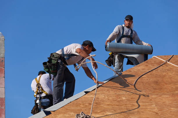 Best Commercial Roofing Services  in Lester Prairie, MN